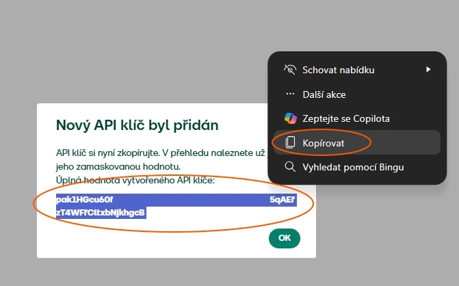 Zkopírujte si klíč a uložte ho